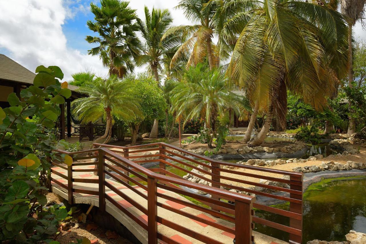 Captain Don'S Habitat Kralendijk na wyspie Bonaire Zewnętrze zdjęcie