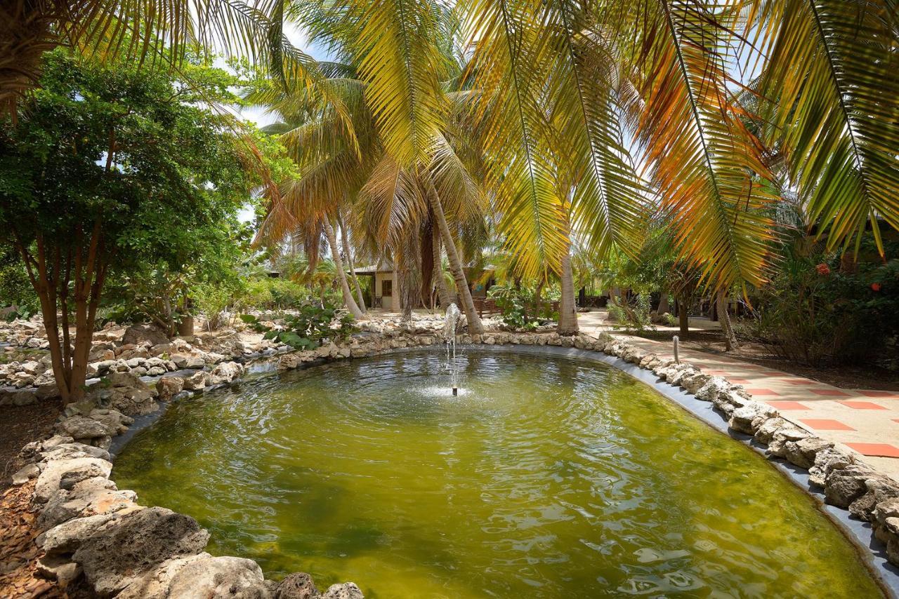 Captain Don'S Habitat Kralendijk na wyspie Bonaire Zewnętrze zdjęcie