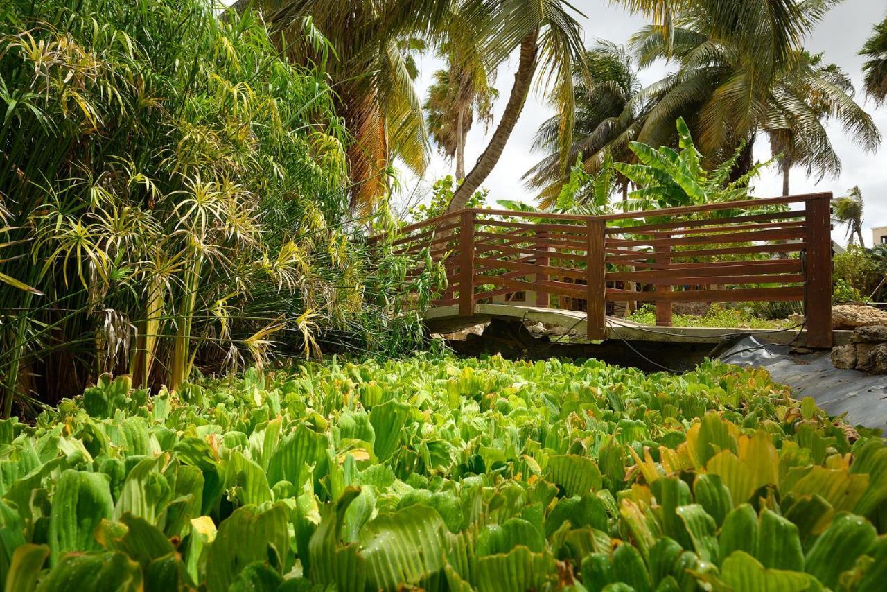 Captain Don'S Habitat Kralendijk na wyspie Bonaire Zewnętrze zdjęcie