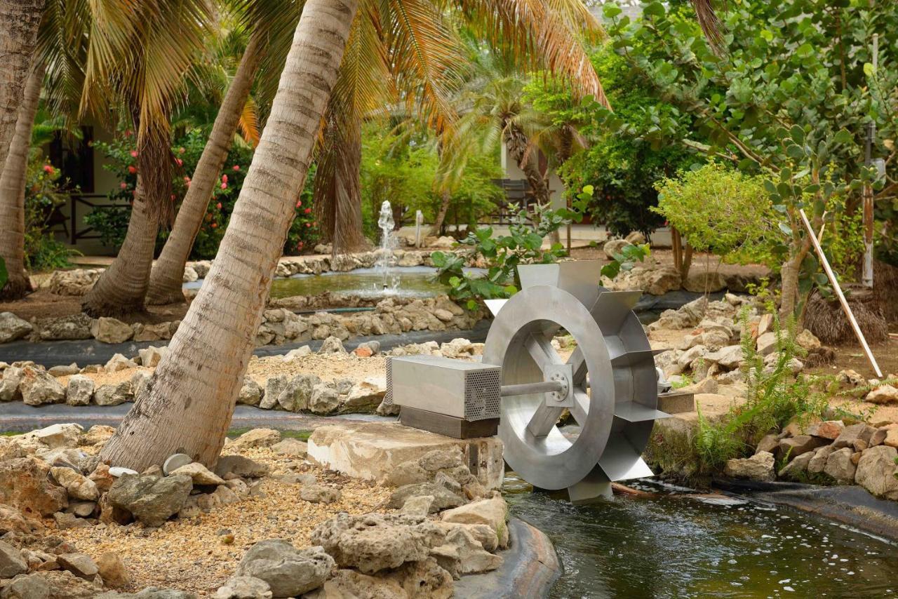 Captain Don'S Habitat Kralendijk na wyspie Bonaire Zewnętrze zdjęcie
