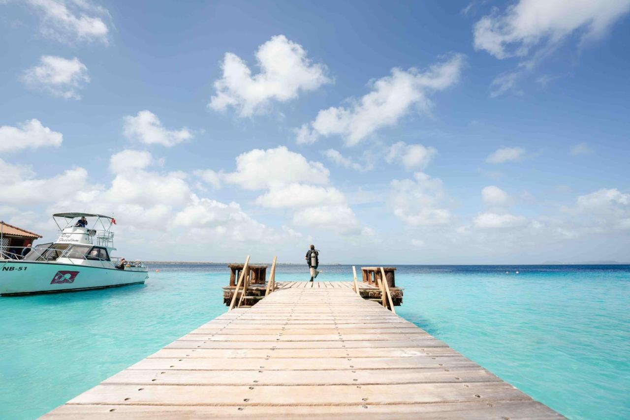 Captain Don'S Habitat Kralendijk na wyspie Bonaire Zewnętrze zdjęcie